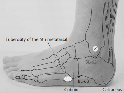 bl63