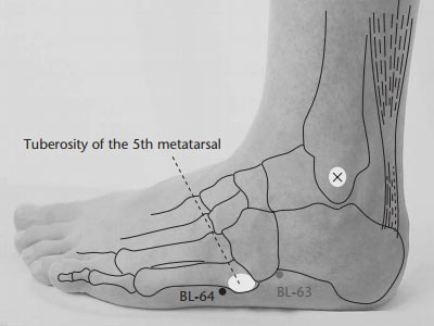 bl64