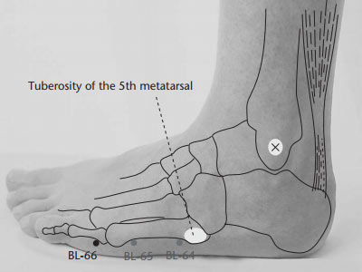 bl66